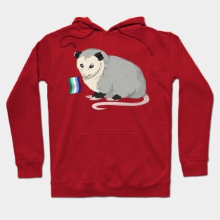 Gay Man Pride Opossum Hoodie